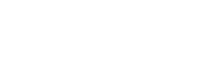 Dylan Hopkins logo